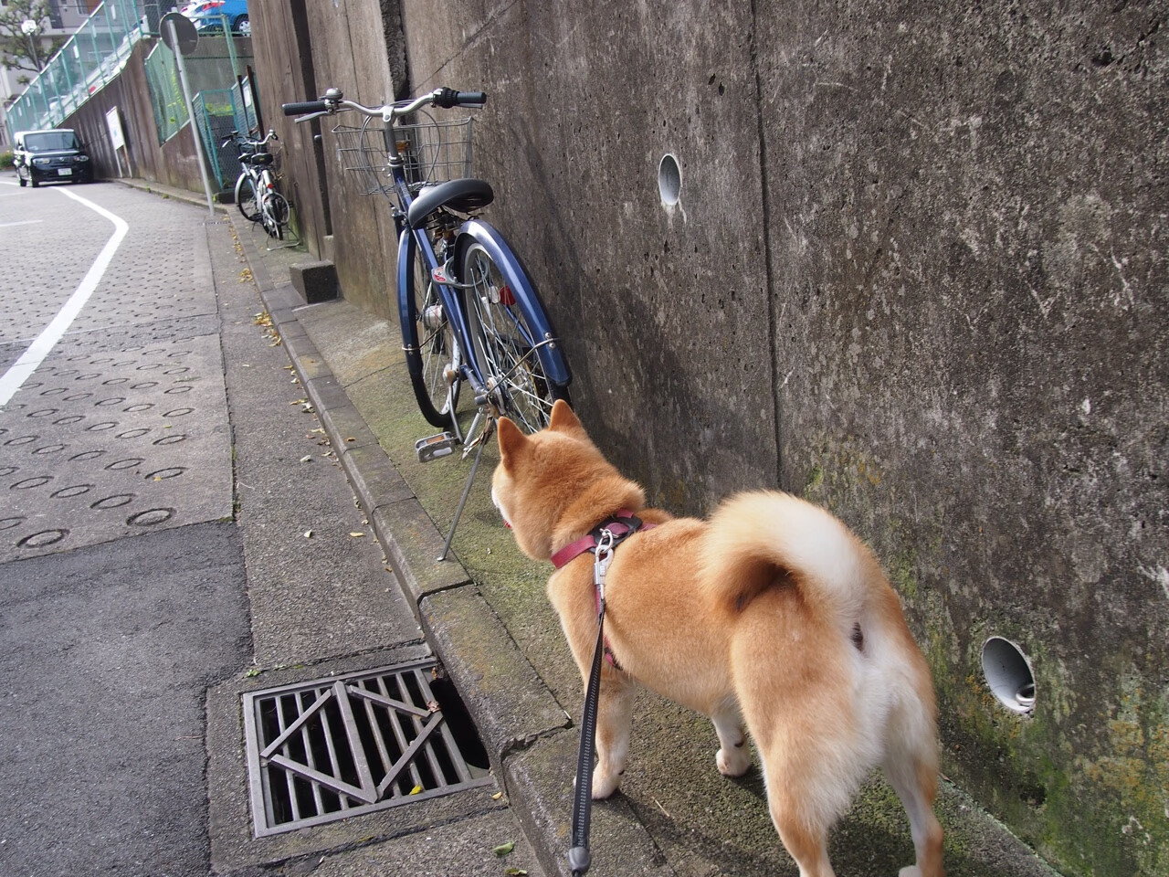 德甲球员在高压阶段冲刺质量与决策效率的耦合分析